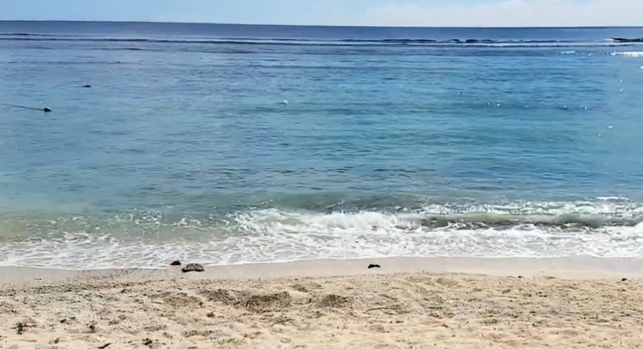 Balaclava Public Beach