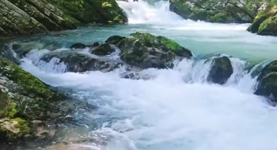 Black River Gorges National Park